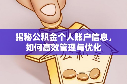 余杭揭秘公积金个人账户信息，如何高效管理与优化