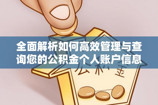 余杭全面解析如何高效管理与查询您的公积金个人账户信息