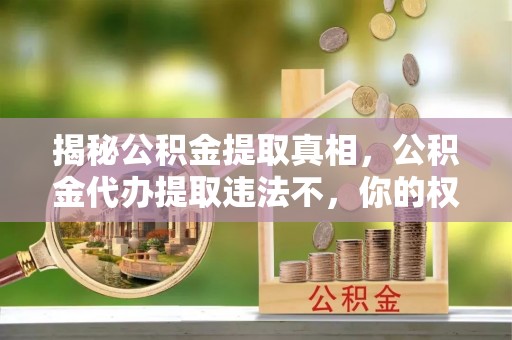 余杭揭秘公积金提取真相，公积金代办提取违法不，你的权益如何保障？