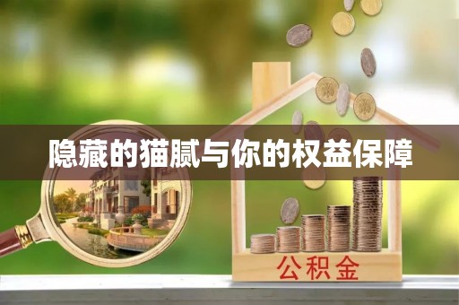 余杭隐藏的猫腻与你的权益保障