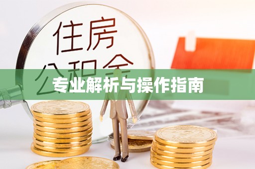 余杭专业解析与操作指南