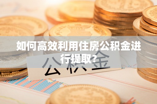 余杭如何高效利用住房公积金进行提取？