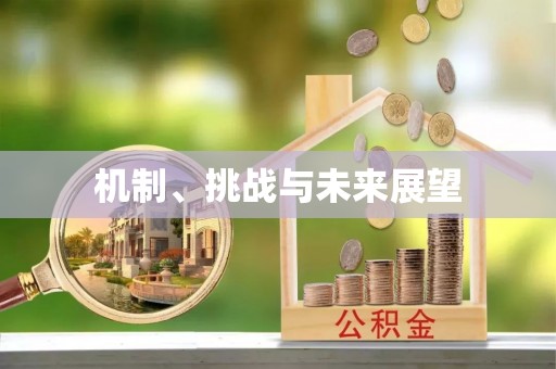 余杭机制、挑战与未来展望